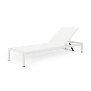 Coral Gray Outdoor Mesh Lounge Chair, Available In Single And Double Sizes