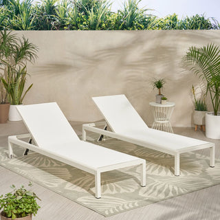 Coral Gray Outdoor Mesh Lounge Chair, Available In Single And Double Sizes