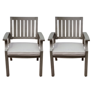 Modern Aluminum Gray Outdoor Dining Chairs with Cushions (Set of 2)