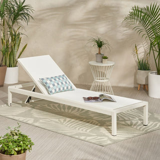 Coral Gray Outdoor Mesh Lounge Chair, Available In Single And Double Sizes