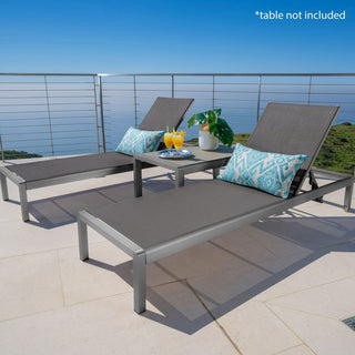 Coral Gray Outdoor Mesh Lounge Chair, Available In Single And Double Sizes
