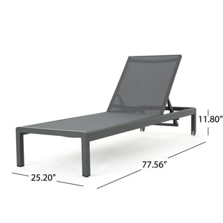 Coral Gray Outdoor Mesh Lounge Chair, Available In Single And Double Sizes