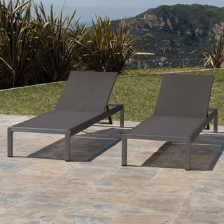 Coral Gray Outdoor Mesh Lounge Chair, Available In Single And Double Sizes