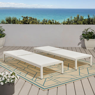 Coral Gray Outdoor Mesh Lounge Chair, Available In Single And Double Sizes