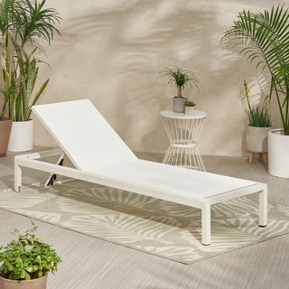 Coral Gray Outdoor Mesh Lounge Chair, Available In Single And Double Sizes