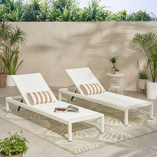 Coral Gray Outdoor Mesh Lounge Chair, Available In Single And Double Sizes