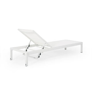 Coral Gray Outdoor Mesh Lounge Chair, Available In Single And Double Sizes