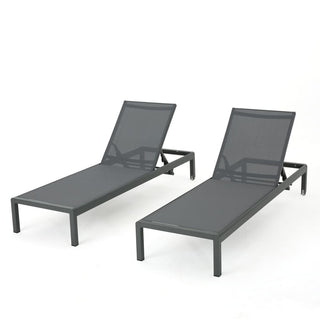 Coral Gray Outdoor Mesh Lounge Chair, Available In Single And Double Sizes