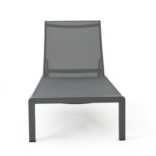 Coral Gray Outdoor Mesh Lounge Chair, Available In Single And Double Sizes