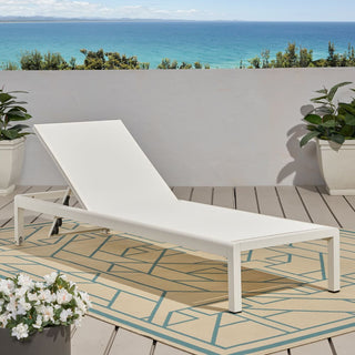 Coral Gray Outdoor Mesh Lounge Chair, Available In Single And Double Sizes