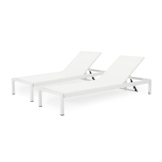 Coral Gray Outdoor Mesh Lounge Chair, Available In Single And Double Sizes