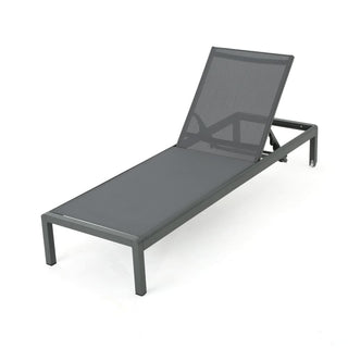 Coral Gray Outdoor Mesh Lounge Chair, Available In Single And Double Sizes