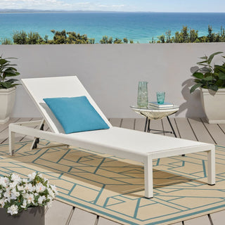 Coral Gray Outdoor Mesh Lounge Chair, Available In Single And Double Sizes