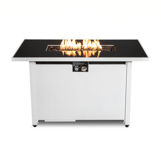 42'' W x 25'' H Steel Outdoor Propane Fire Pit Table with Lid, 50,000 BTU Patio Heating