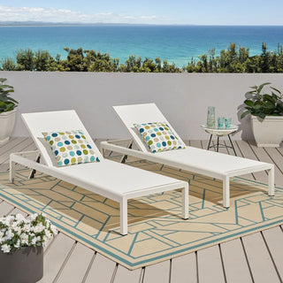 Coral Gray Outdoor Mesh Lounge Chair, Available In Single And Double Sizes