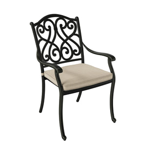 4 Piece Cast Aluminum Outdoor Dining Chairs with Cushion