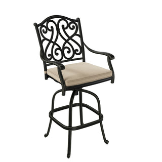 Set of 2 Patio Dining Chairs, Cast Aluminum Frame with Removable Olefin Cushion, 360° Swivel